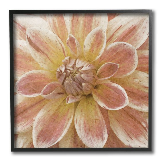 Stupell Industries Blooming Petals Close Up Botanical & Floral Painting Black Framed Art Print Wall Art, 24 x 24