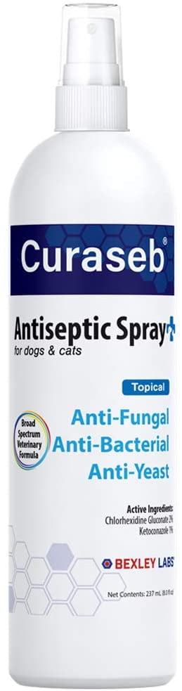 chlorhexidine cream for dogs