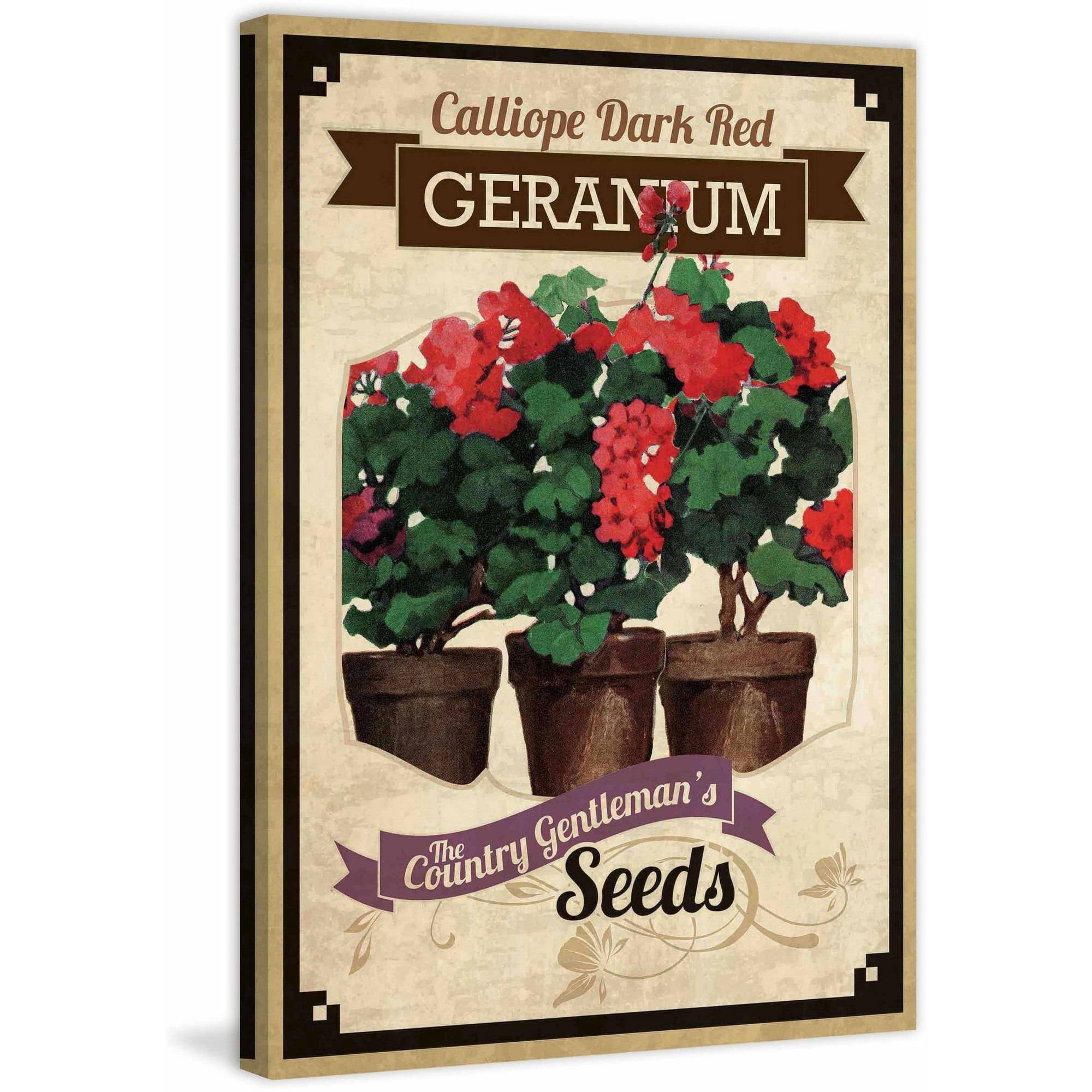 "Flower Packet Geranium" Painting Print on Canvas