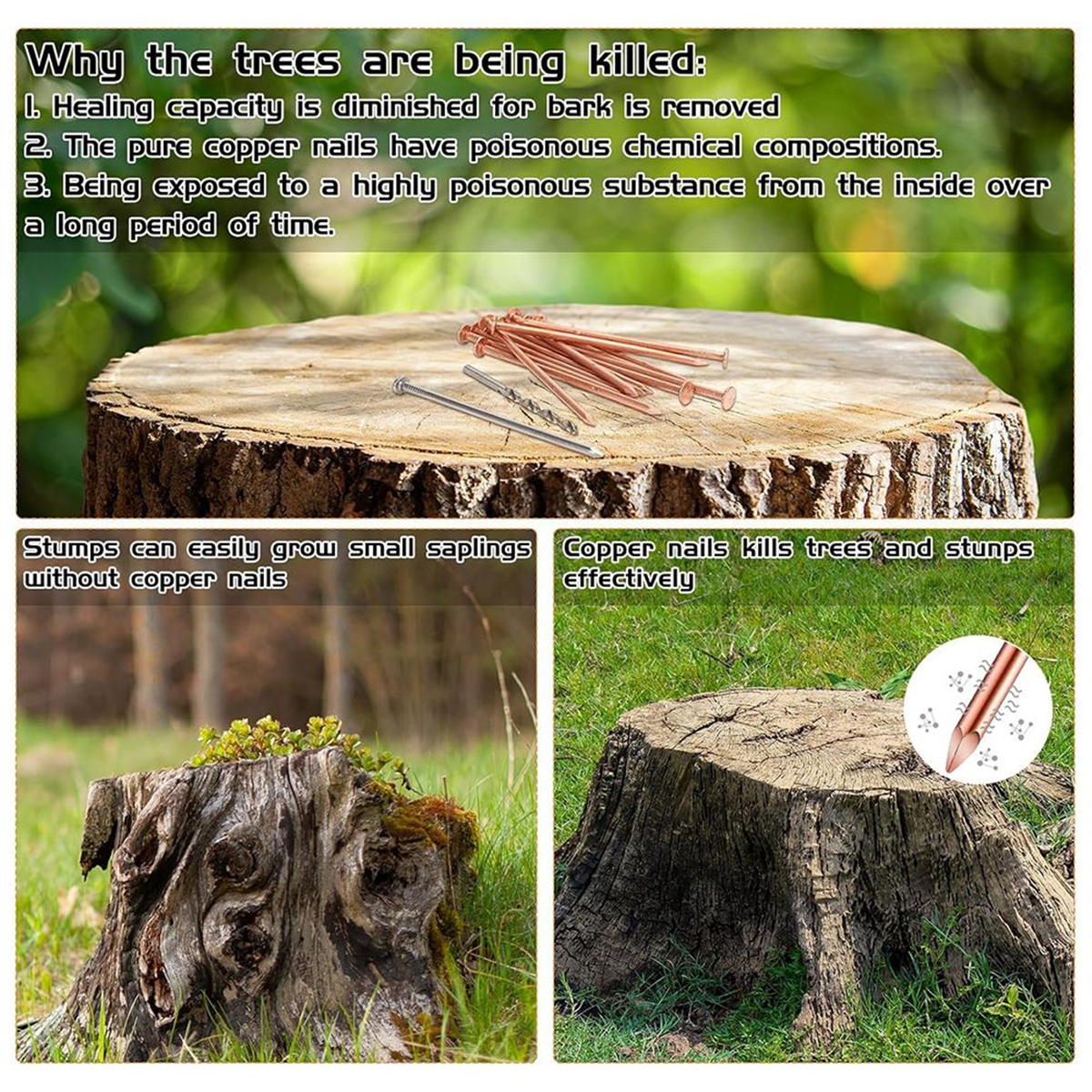 Copper Tree Stump Killer Nails - 4 Inch Spikes (12 Pack) For Roots And Stumps