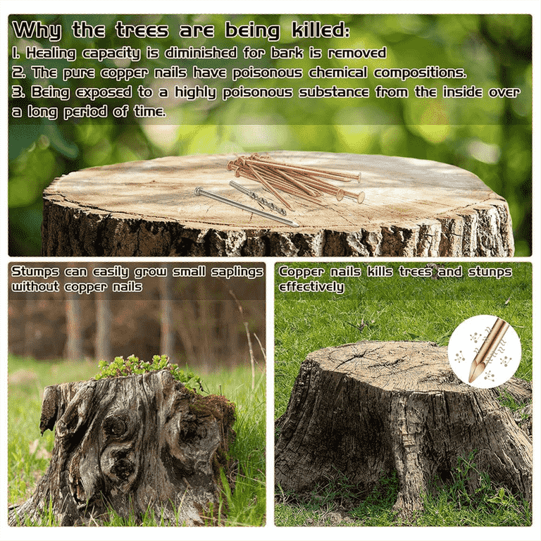 Copper Tree Stump Killer Nails - 4 Inch Spikes (12 Pack) For Roots And Stumps