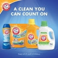 thumbnail image 6 of Arm & Hammer In-wash Scent Booster Tropical Paradise (Pack of 20), 6 of 9