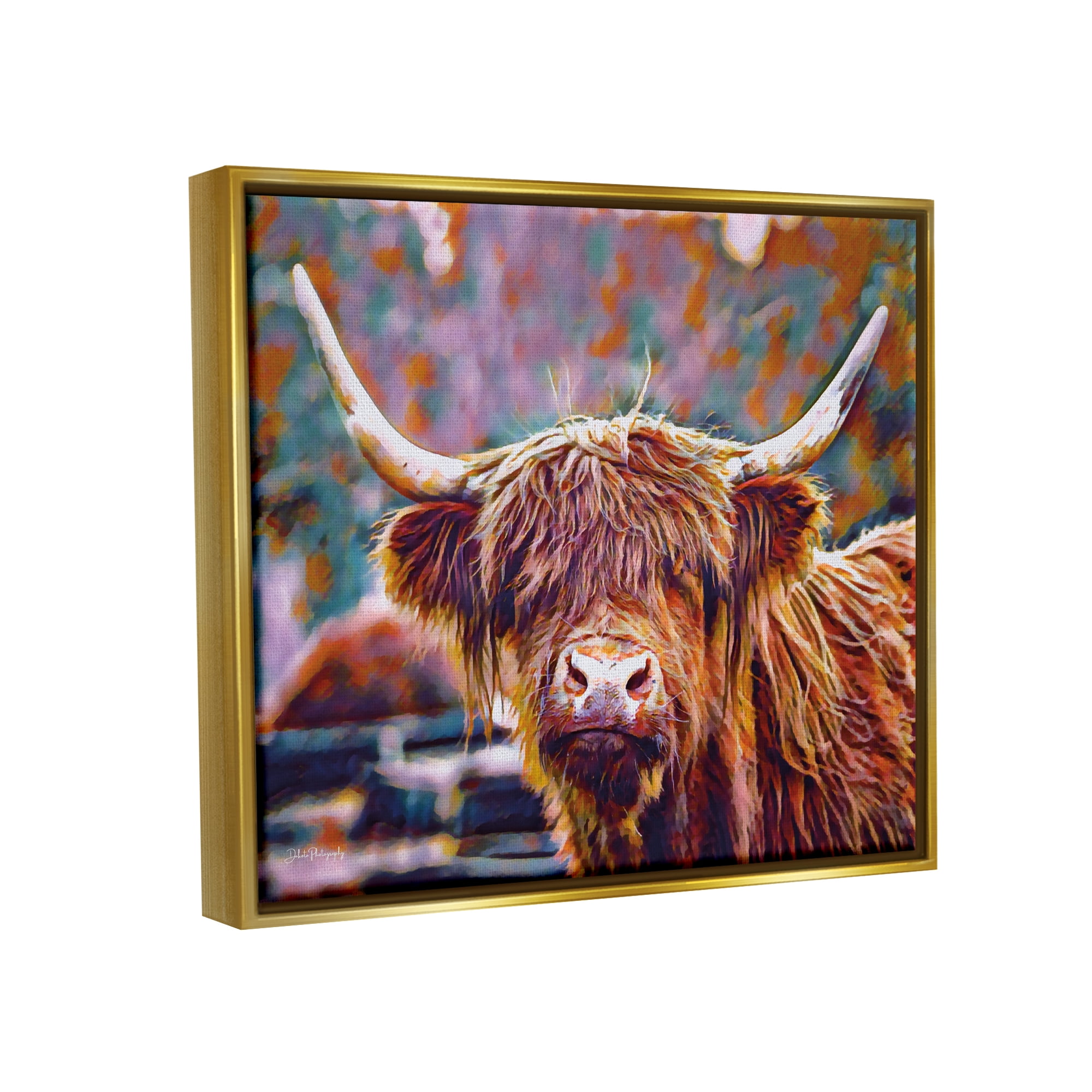 Stupell Industries Highland Cattle Modern Portrait Animals & Insects Photography Gold Floater Framed Art Print Wall Art, 21 x 17