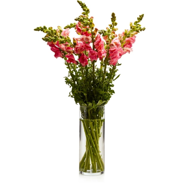 Libbey Cylinder Vase, 9inch, Set of 2