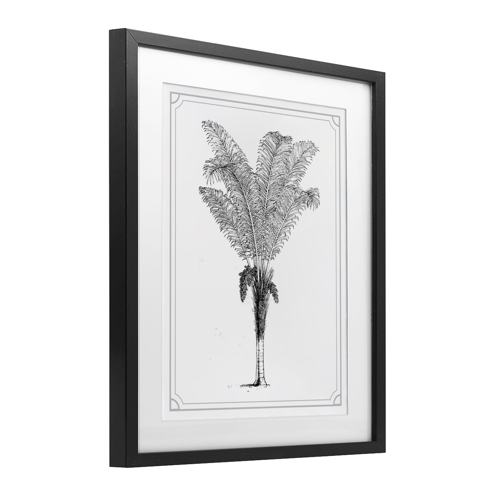 Vintage & Minimal Palm Black Framed Print Under Glass, design by Lettered and Lined