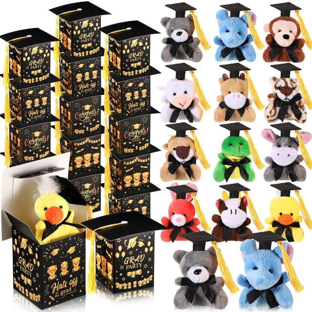 Set de peluches de graduación JellyArch JellyArch 24 piezas