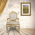 thumbnail image 3 of Jaynes Gallery 17x24 Gold Ornate Wood Framed with Double Matting Museum Art Print Titled - Africa-Tanzania-Serengeti National Park Male lion and water, 3 of 4