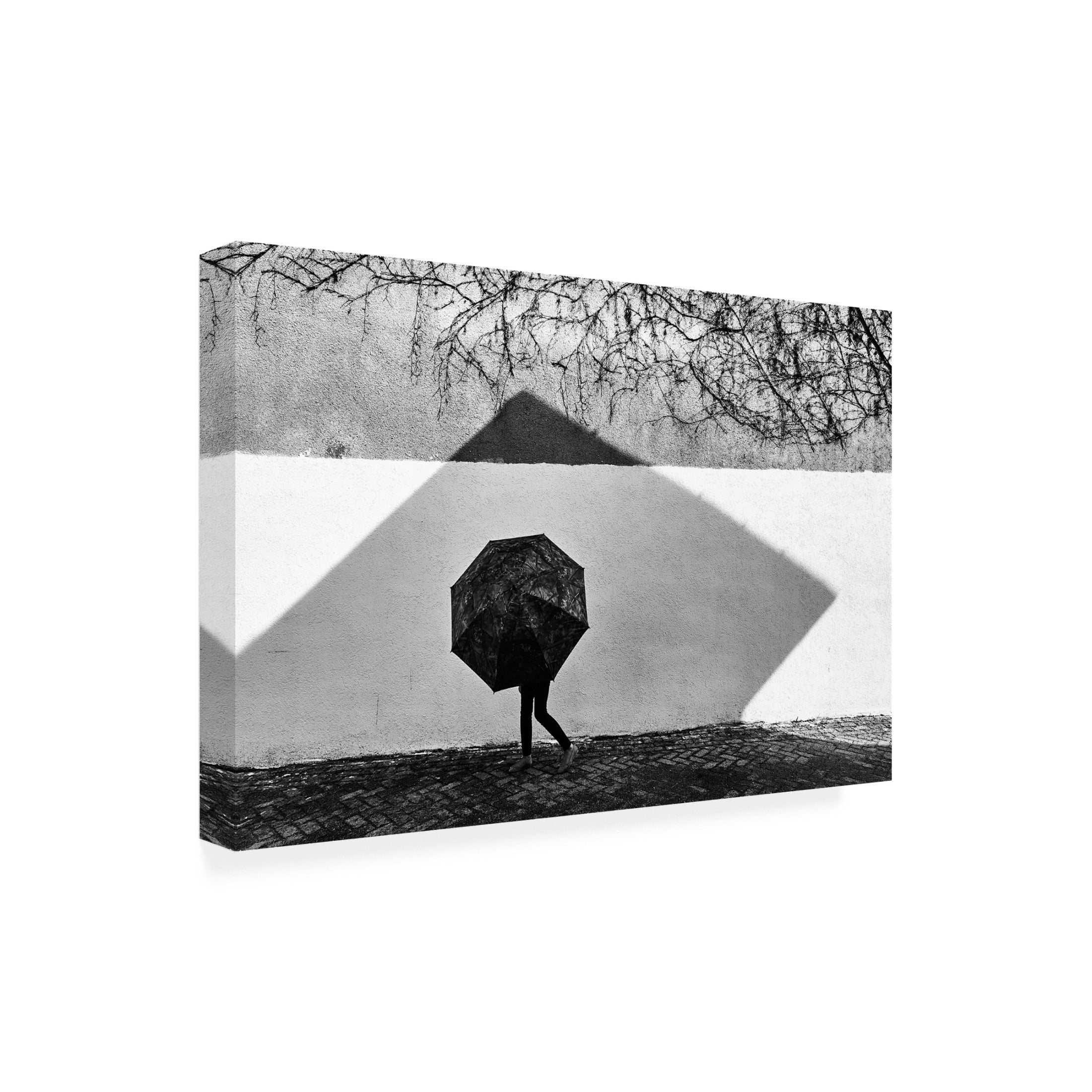 Trademark Fine Art Panfil Pirvulescu Shadow Geometry Canvas Wall Art