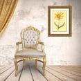 thumbnail image 3 of PI Collection 23x32 Gold Ornate Wood Framed with Double Matting Museum Art Print Titled - Arizona Wyethia, 3 of 4