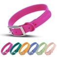 thumbnail image 1 of Collar para perro Wisedog, impermeable, ajuste múltiple, 20-60 cm, 1 of 7