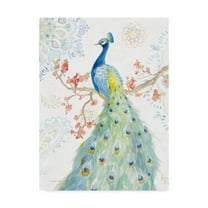 Trademark Fine Art 'Jaipur II' Canvas Art by Danhui Nai