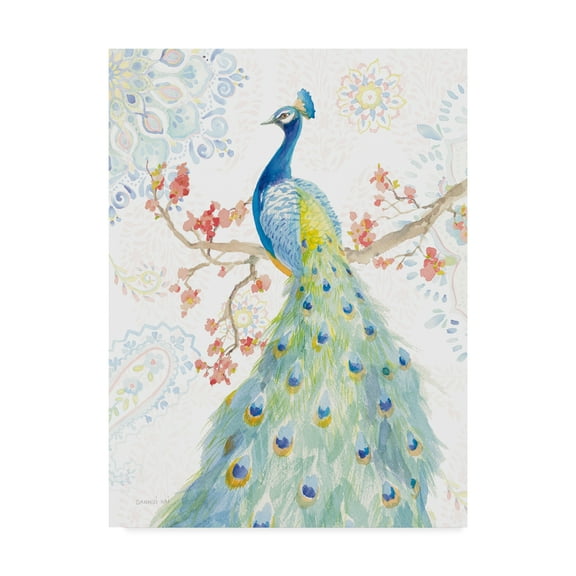 Trademark Fine Art 'Jaipur II' Canvas Art by Danhui Nai