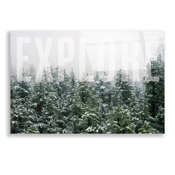 Epic Art 'Explore' by Susan Ball, Acrylic Glass Wall Art, 24"x16"