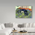 thumbnail image 3 of Trademark Fine Art 'Starsky' Canvas Art by Amy Frank, 3 of 3