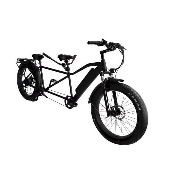 Two Persons Bicycle Enjoy the Ride Together with Fat Tire Tandem Electric Bike