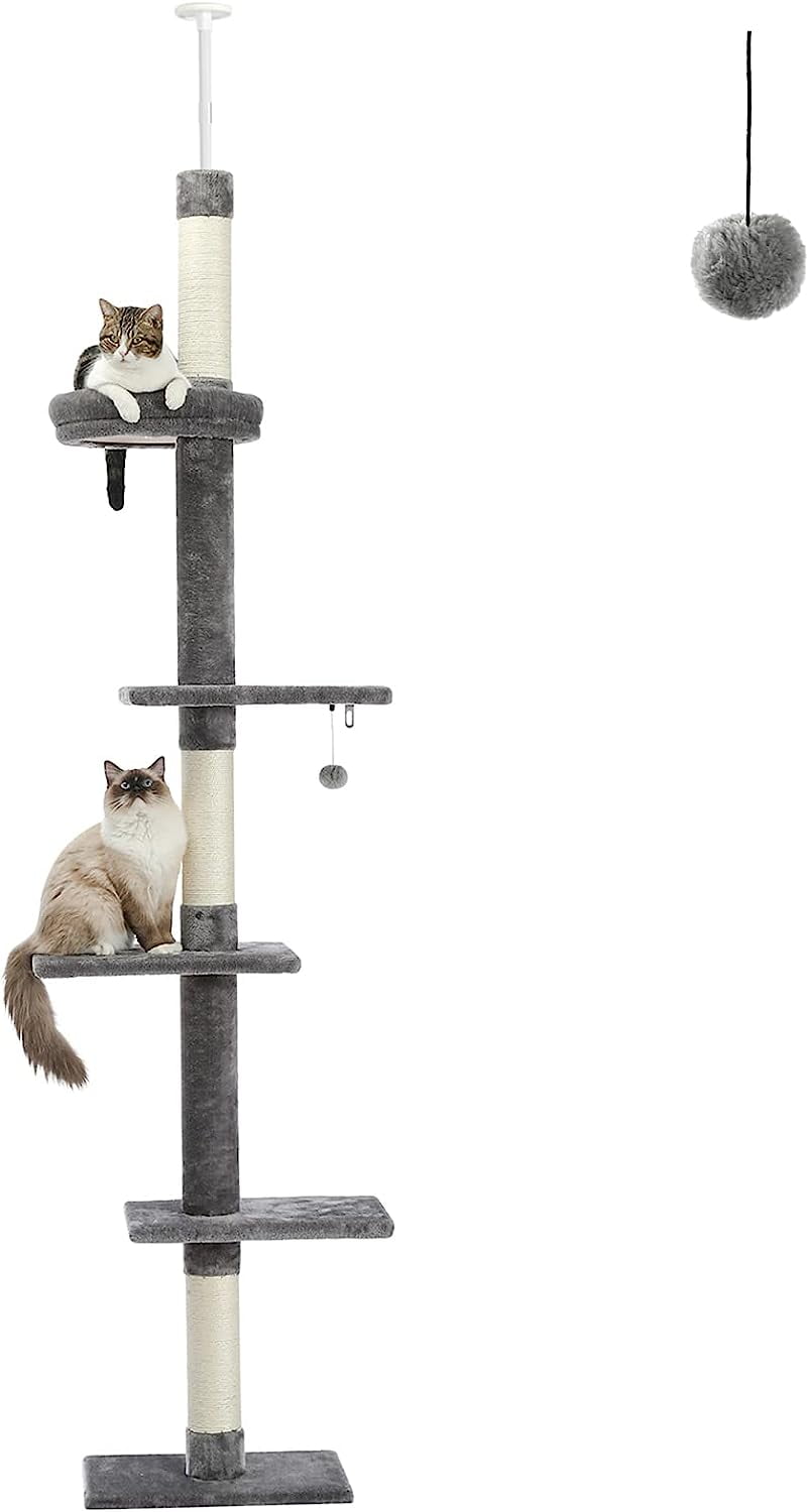 Floor To Ceiling Cat Climbing Tower Shelly Lighting