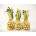 thumbnail image 2 of Deiter, Lori 18x15 White Modern Wood Framed Museum Art Print Titled - Pineapples, 2 of 4