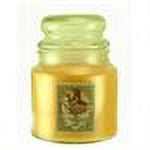 Dreamcicle -  Courtneys Candles Maximum Scented 16oz Jar Candle