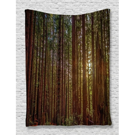 Forest Tapestry, Redwood Forest in California USA Nature Outdoors Landscape Woods Park, Wall Hanging for Bedroom Living Room Dorm Decor, Redwood Green Yellow, by (Best Redwood Parks In California)