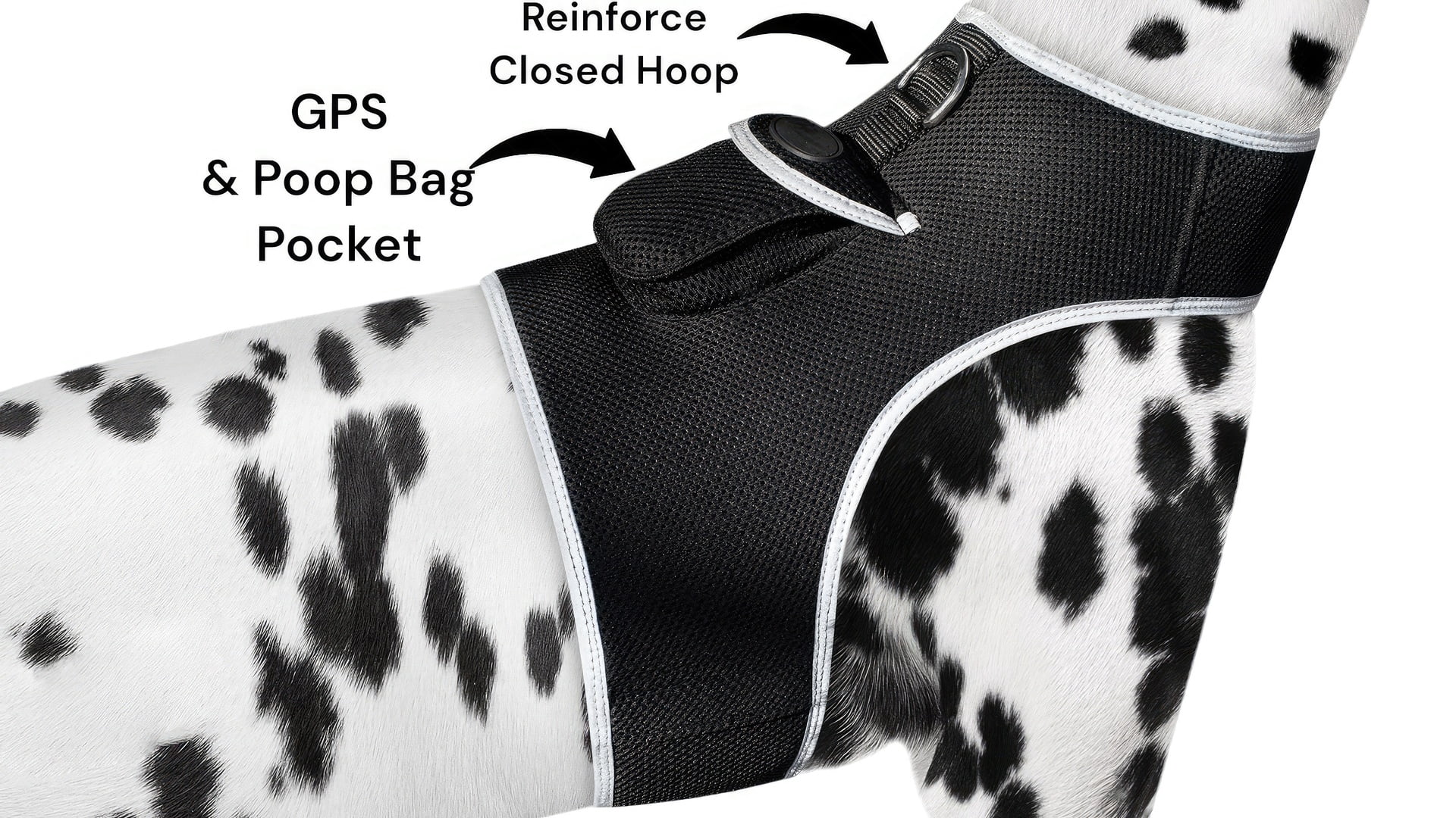 Pet Tracker Collar Tracker Wireless Security with GPS Pet Tracking App Size:XS