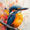 Malachite Kingfisher Bird Wall Art, variant on Qisvanset 12x16 Inch Framed Canvas Wall Art Blue Tea Cup Cottagecore Trendy Apartment Kitchen Square Wall Art