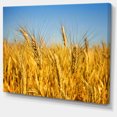 thumbnail image 2 of Bright Golden Wheat Field - Large Landscape Canvas Art, 2 of 4