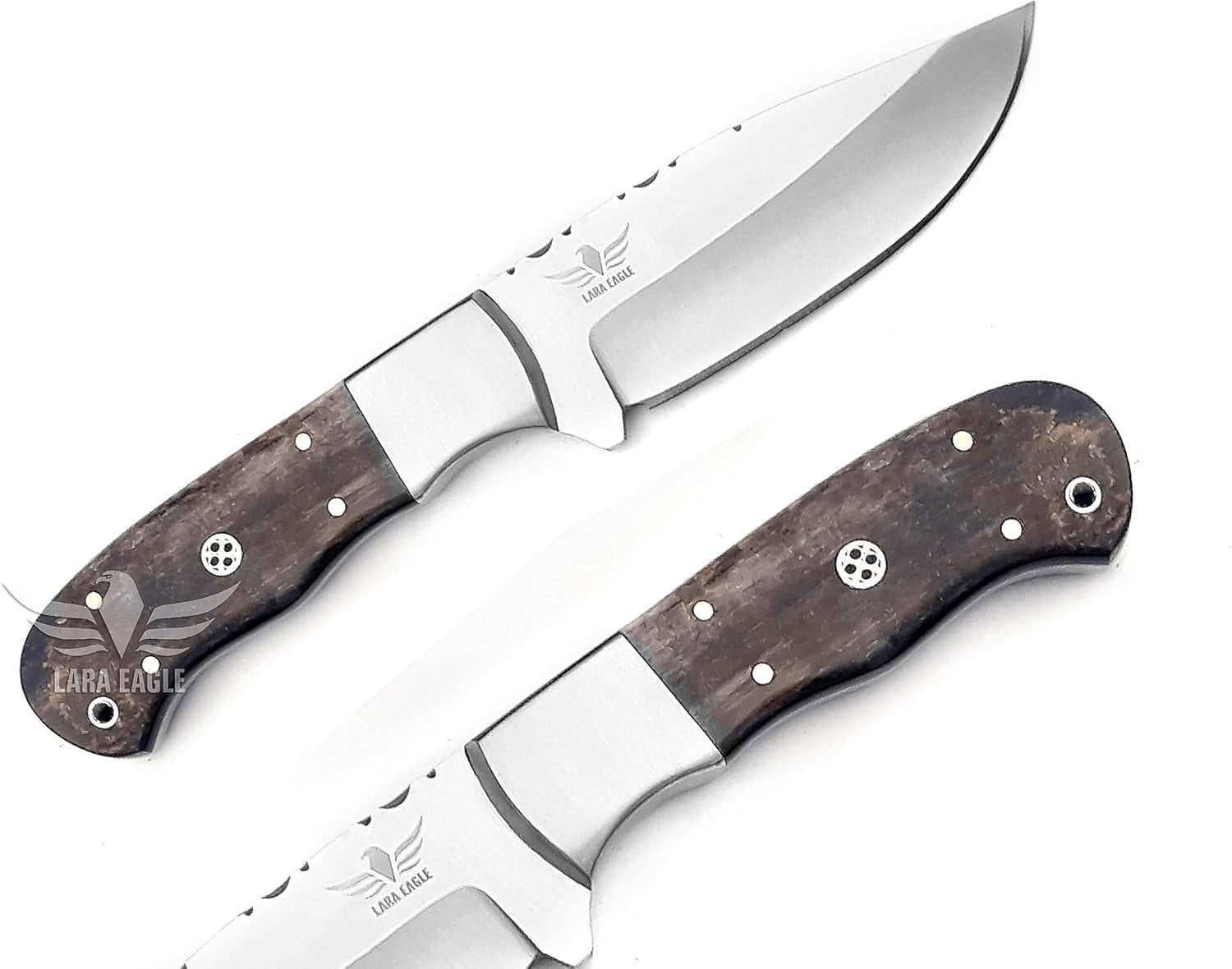 Lara Eagle Damascus Hunting Knife - Fixed Blade Handmade Skinner with Sheath - 7.5 inch Survival Knife Great for Camping - Camel bone Handle with mosaic pin
