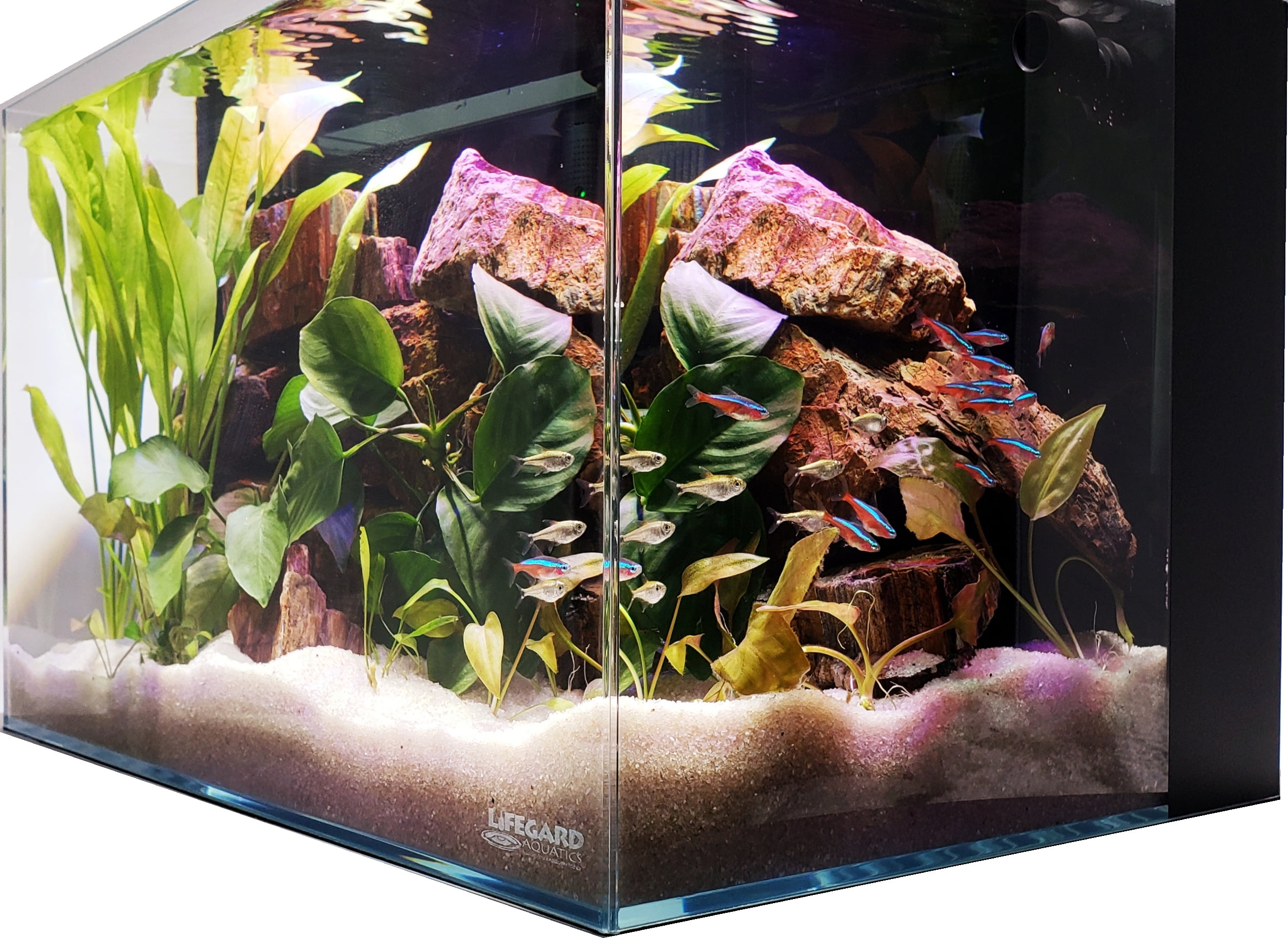 Crystal Aquarium from Lifegard Aquatics Ultra Clear Low Iron Glass with