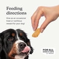 thumbnail image 4 of PetLab Co. Salmon Bites for Dogs – Rich in Beneficial Fatty Acids, Vitamins & Minerals - Premium Salmon Dog Treats Your Pup Will Drool Over - Carefully Selected Ingredients – Delicious Reward, 4 of 5