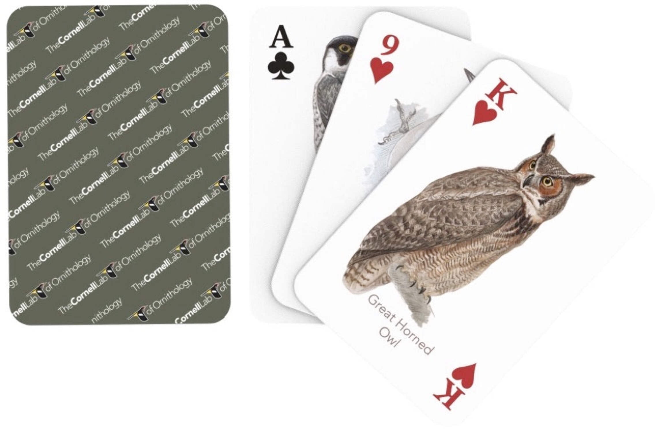 New York Puzzle Company Birds of Eastern/Central North America Playing Cards Single Standard Deck