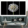 thumbnail image 1 of Fleur de Dahlia Isolée en Noir - Impression sur Toile d'Art Floral, 1 of 3