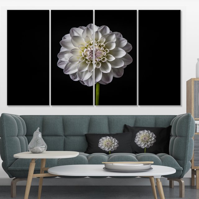 Fleur de Dahlia Isolée en Noir - Impression sur Toile d'Art Floral