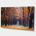 thumbnail image 2 of Alley dans la Forêt d'Automne Dense - Impression sur Toile Forêt, 2 of 4