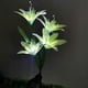 thumbnail image 1 of Set Of 2 Solar Lights On Lily Stake For Garden, Driveway, Exterior, Garden, 1 of 4