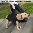 thumbnail image 4 of Coodeo Rehabilitation Support Series Polyester Adjustable Dog Lifting Aid Full Body Harnesses, Black, XS (13 in to 16 in Chest Size), 4 of 8