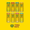 thumbnail image 3 of Guayakí Yerba Mate, Organic Energy Drink Alternative, Enlighten Mint, 150mg Natural Plant Based Caffeine, Better for You Energy & Focus, No Jitters or Crash, 15.5 Oz (Pack of 12), 3 of 5