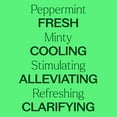 thumbnail image 4 of Plant Therapy Peppermint Essential Oil 10 mL (1/3 oz) 100% Pure, Undiluted, Natural Aromatherapy for Diffuser & Topical Use, Digestion, Respiratory, & Massage, Peppermint Oil for Skin & Hair, 4 of 9