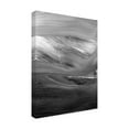 thumbnail image 2 of Trademark Fine Art 'Secrets II' Canvas Art by Teodora Guererra, 2 of 3
