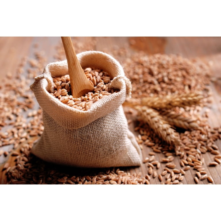 Organic Spelt Berries – Whole Grain, Non-GMO, Kosher, Vegan – Bulk By Food To Live