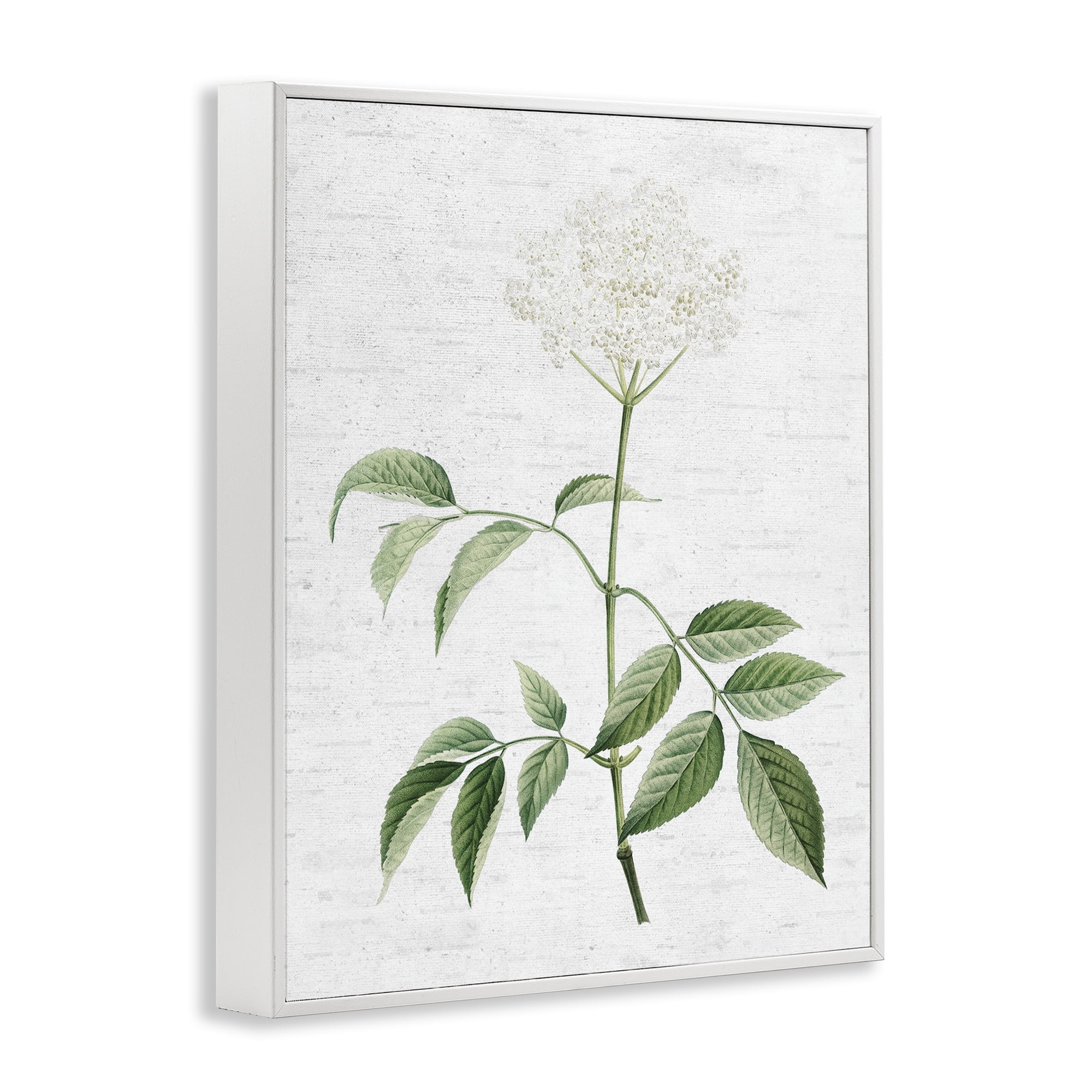 Stupell Industries Subtle Neutral Flower Botanical & Floral Painting White Framed Art Print Wall Art, 11 x 14