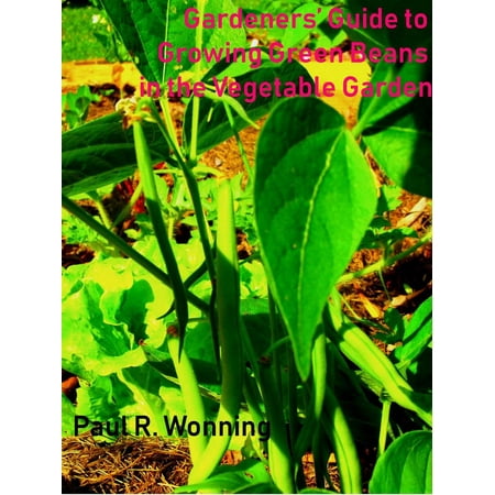 Gardeners’ Guide to Growing Green Beans in the Vegetable Garden -
