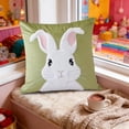 thumbnail image 5 of AuroraX Easter Throw Pillow Covers 18x18 Inch Spring Boho Square Flock Velvet Soft Bunny Rabbits Decorative Pillow Covers Green Outdoor Cushion Case for Couch Sofa Bench, 5 of 6