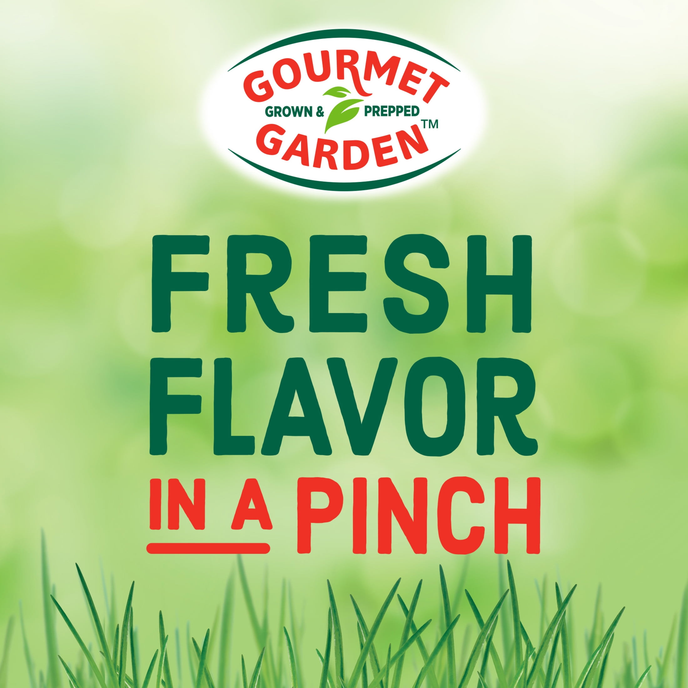 Gourmet Garden Lightly Dried Basil, 0.42 oz Cup