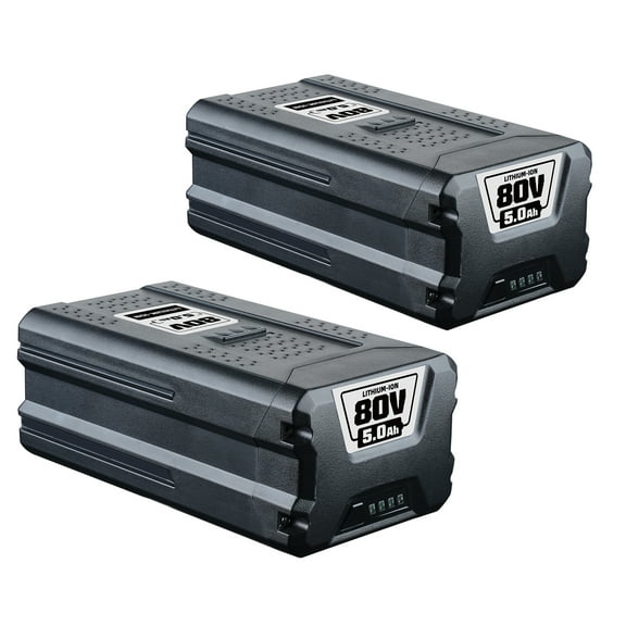 2Pack 5.0AH Battery Replacement for Greenworks 80V Li-ion Battery GBA80200 GBA80250 GBA80400 GWL1840 Compatible with Greenworks 80V Cordless Power Tools ED80L00 BL80L00