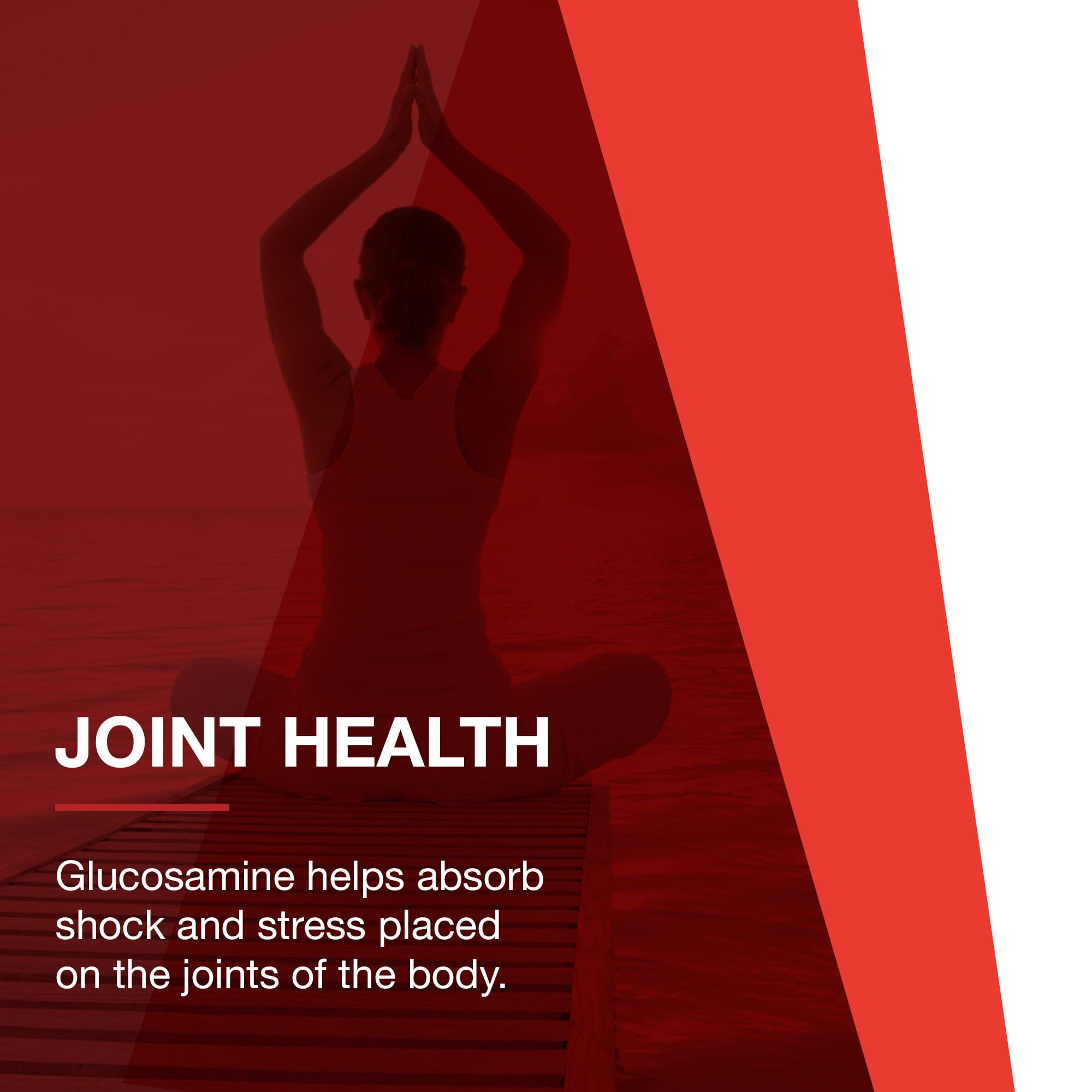 Protocol For Life Balance - Glucosamine and Chondroitin with MSM - 90 Capsules
