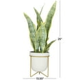 thumbnail image 3 of DecMode 25" Artificial Snake Plant in White Porcelain Pot and Gold Stand, 3 of 8