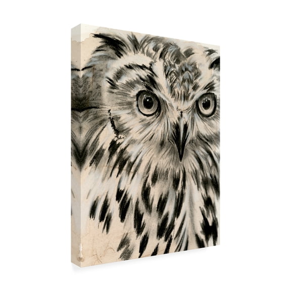 Trademark Fine Art Jennifer Paxton Parker Charcoal Owl I Canvas Wall Art - 24x32