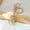 Gold, variant on A mixed-color resin flower keychain, Forget-me-laced lace series, real flower specimens with lobster buckles, small accessories,Gold