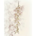 thumbnail image 2 of Dickinson, Robin 15x18 White Modern Wood Framed Museum Art Print Titled - Hanging Blossoms, 2 of 4