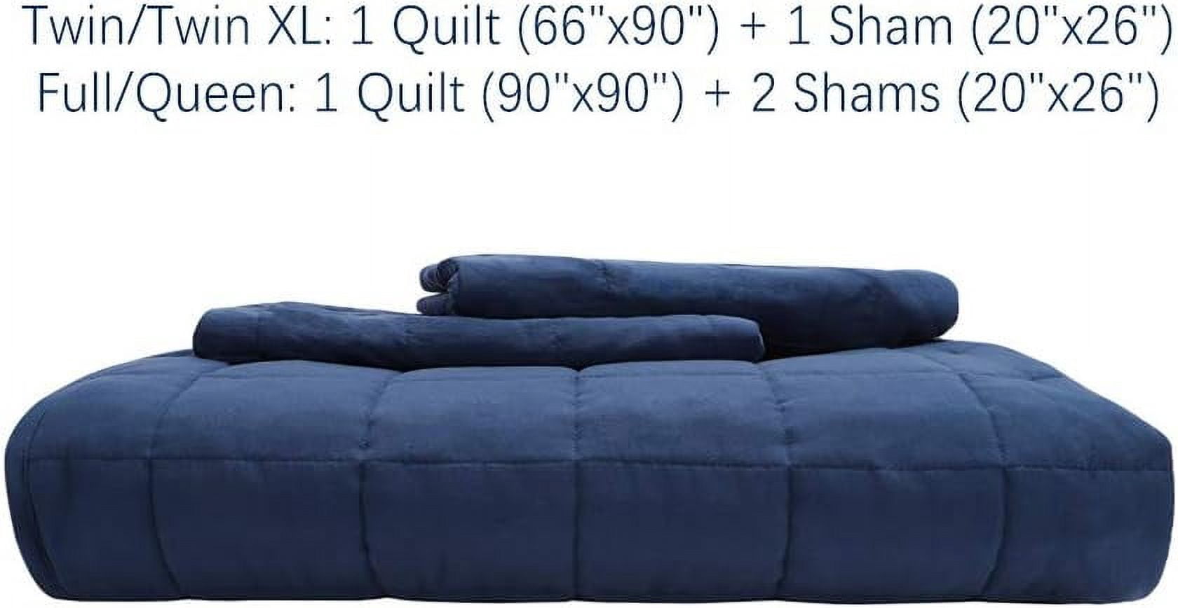 EMME Queen Quilt Set Summer Bedspread Lightweight Soft Bed Coverlet Pre-Washed Full Size Comforter Set 3 Pieces(1 Quilt, 2 Pillow Shams)